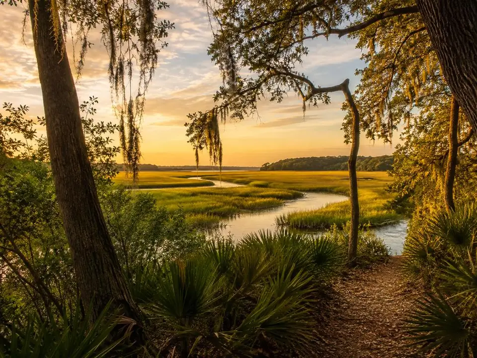 Salt marsh at the edge of the Wormsloe estate on the Isle of Hope